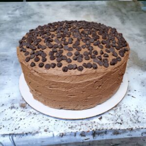 Chocolate cake topped with chocolate chips.