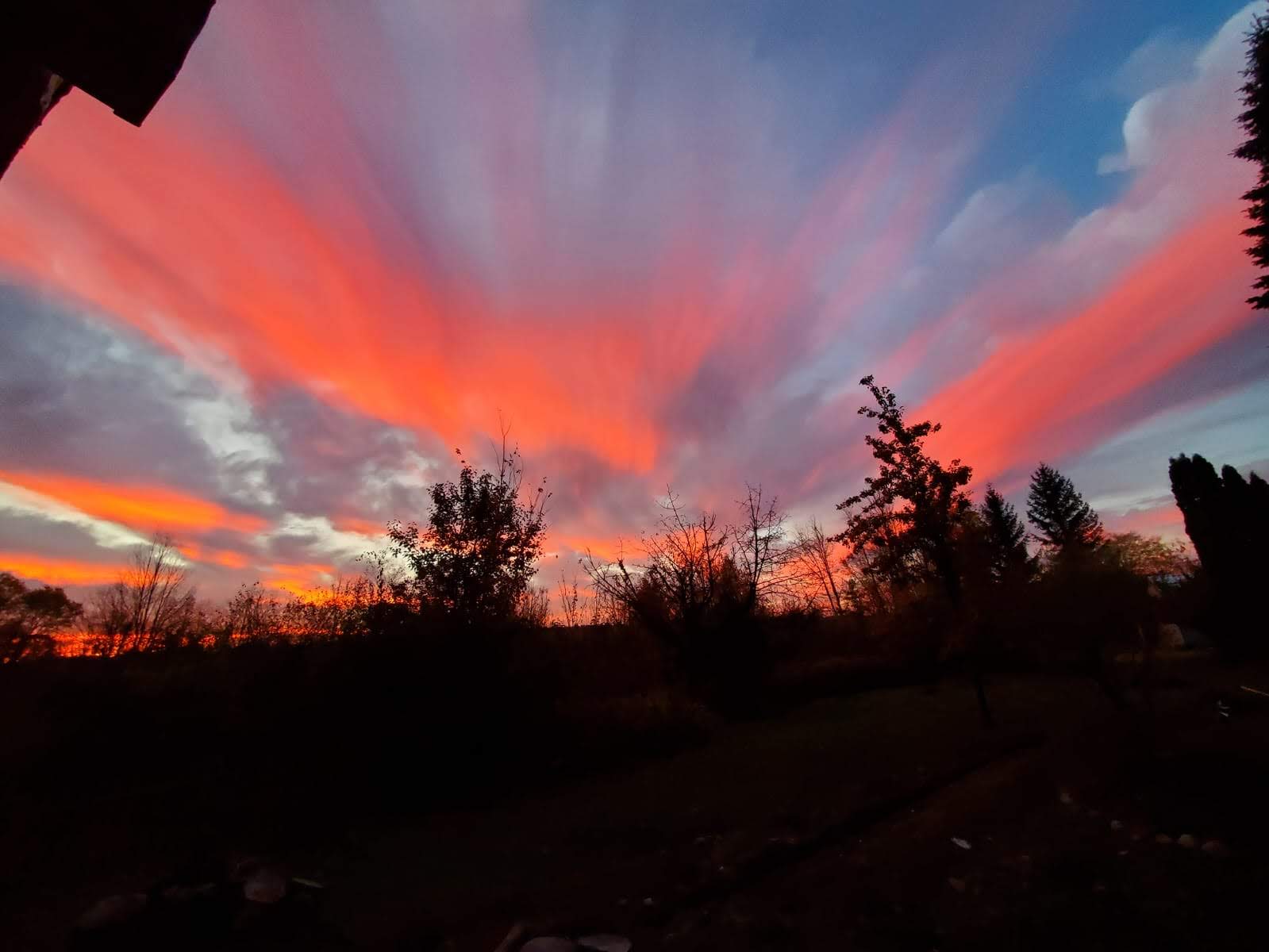 Vibrant sunset sky with silhouetted trees.