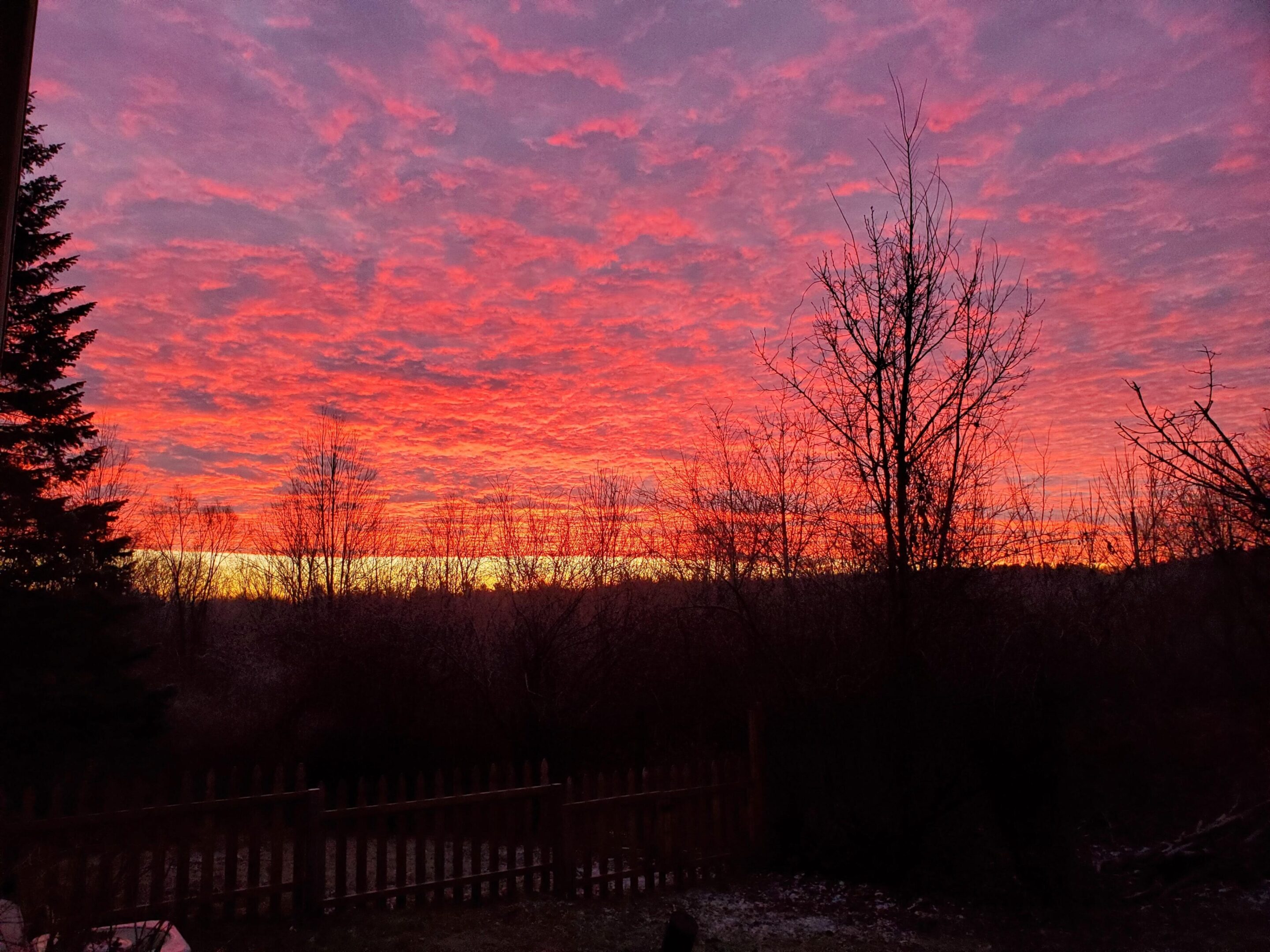 Vibrant sunset with silhouetted trees and fence.