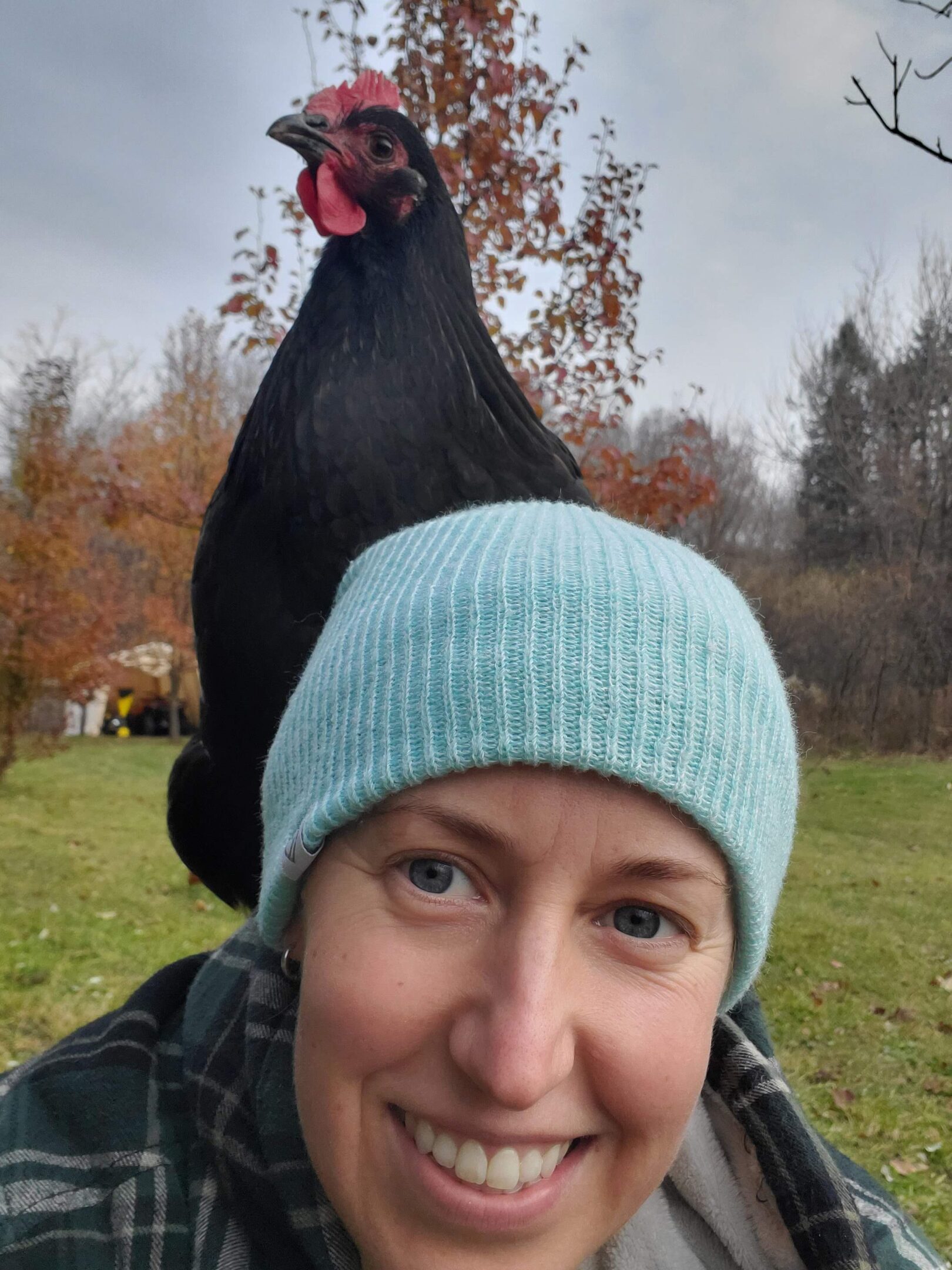 Person with chicken on their head outdoors.