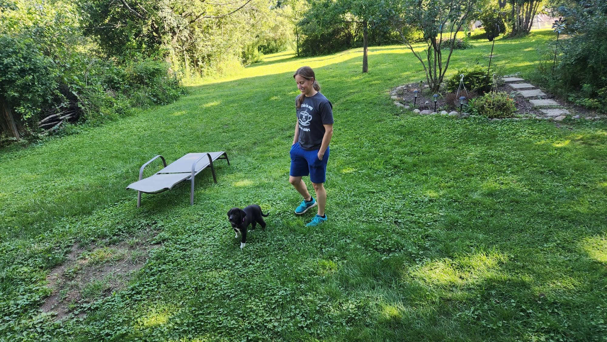 Person walking dog in a grassy yard.