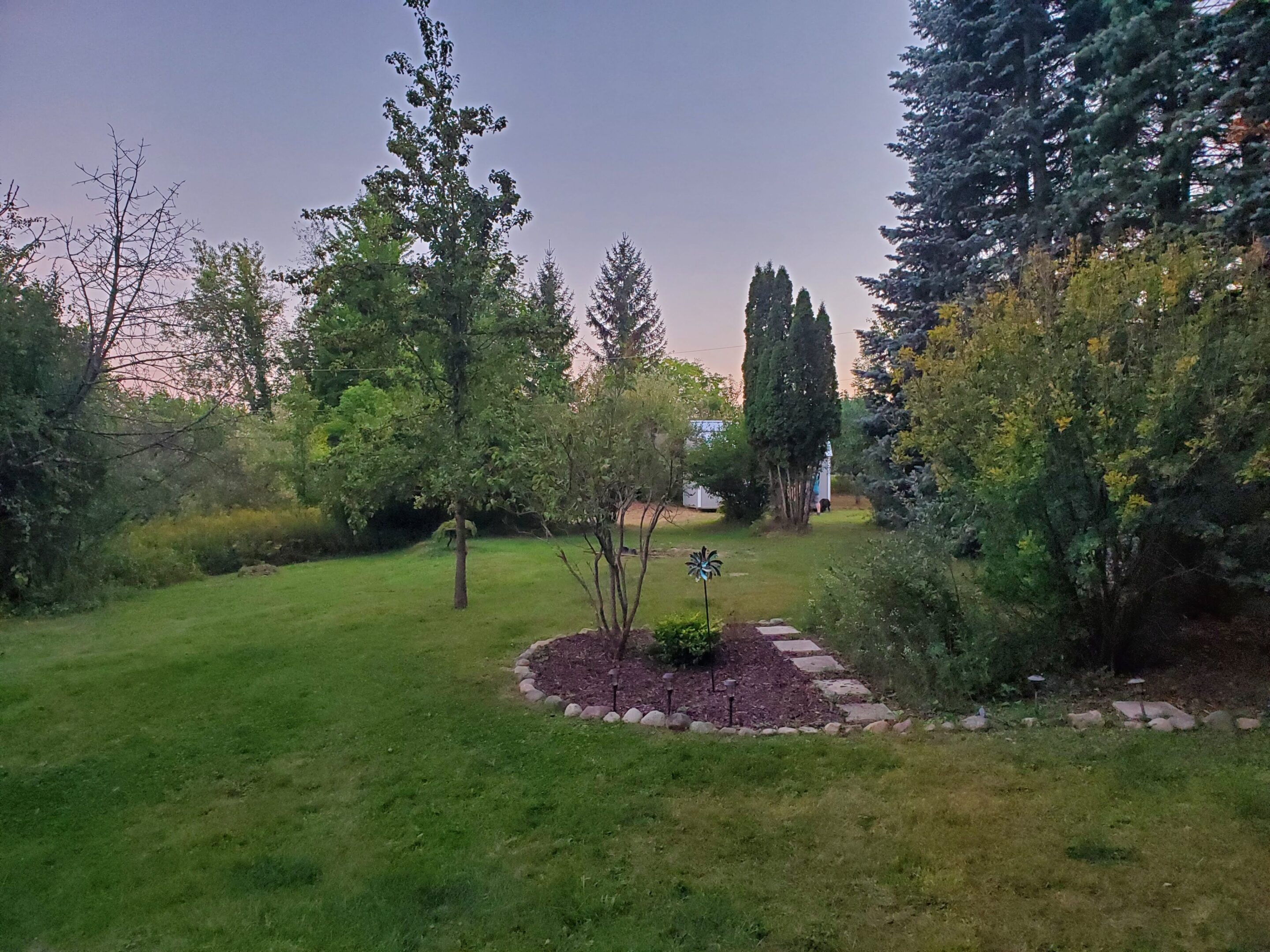 Spacious garden with trees at sunset.