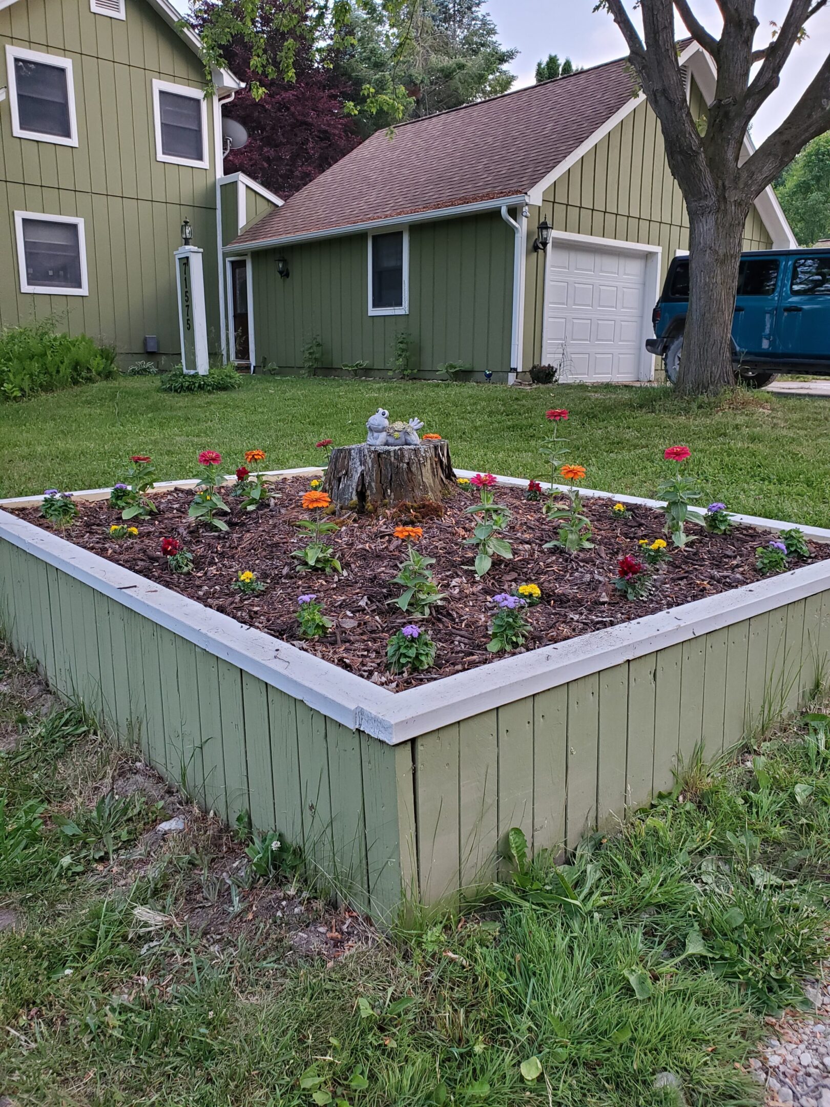 Flower bed with tree stump and house.