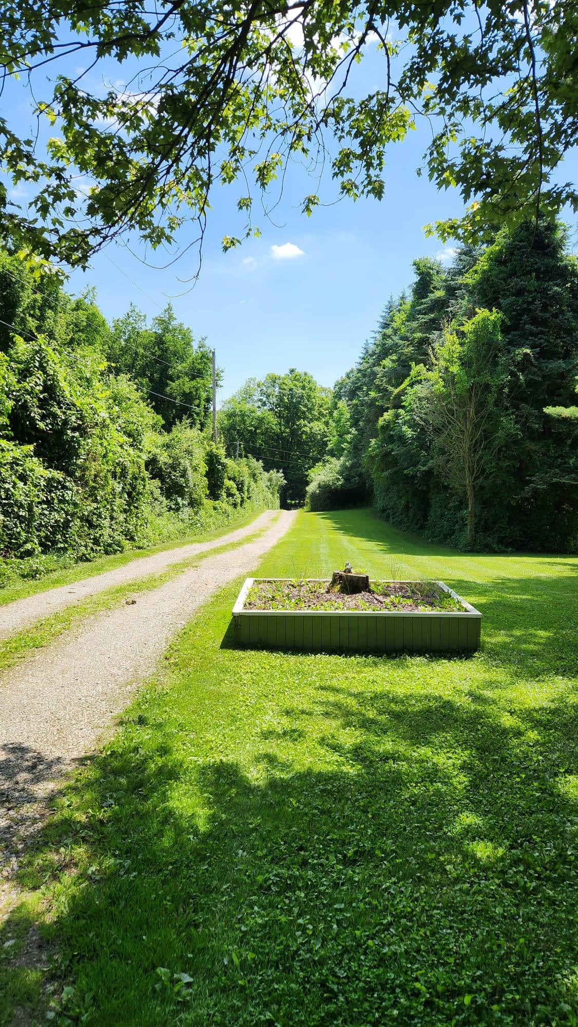 Gravel path and green lawn under trees.