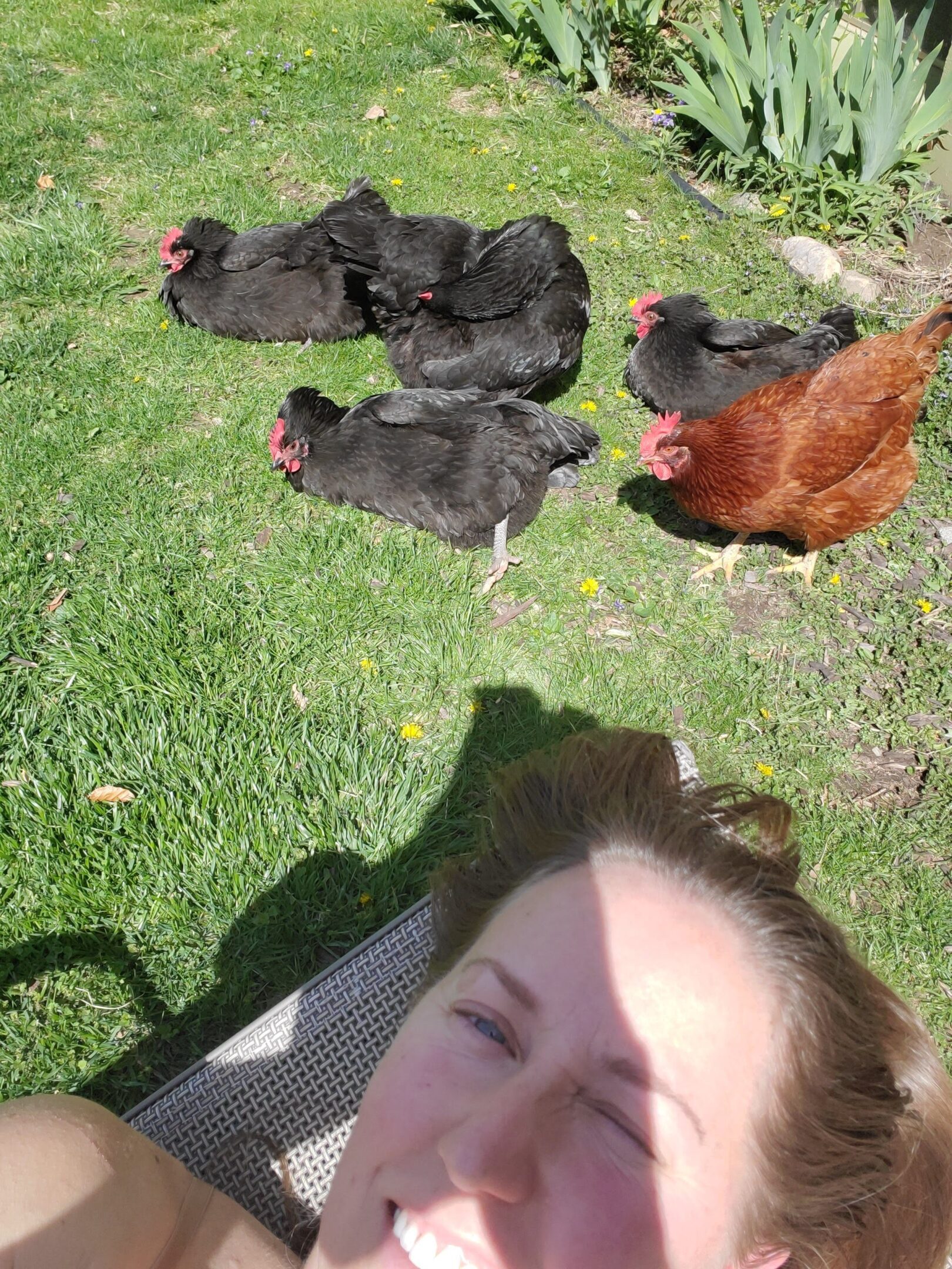 Woman smiling with chickens on grass.