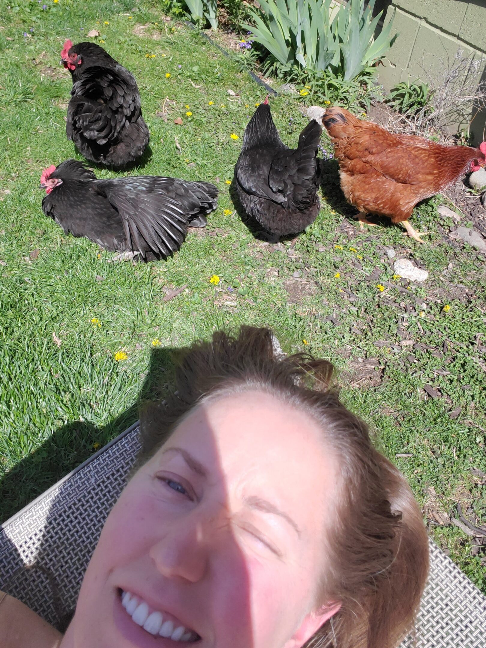 Woman smiling with four chickens nearby.