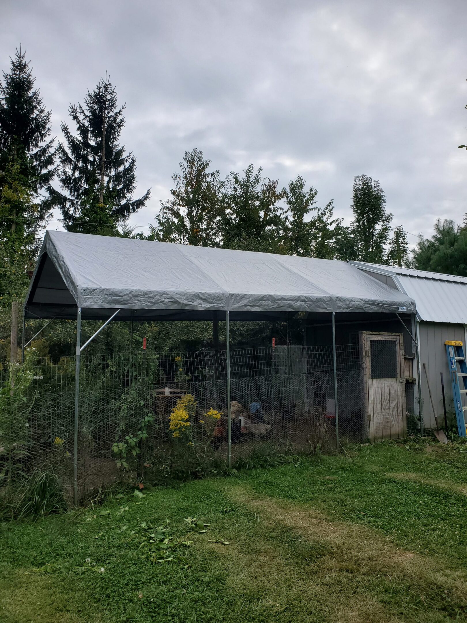 Metal shed with fenced-in garden area.