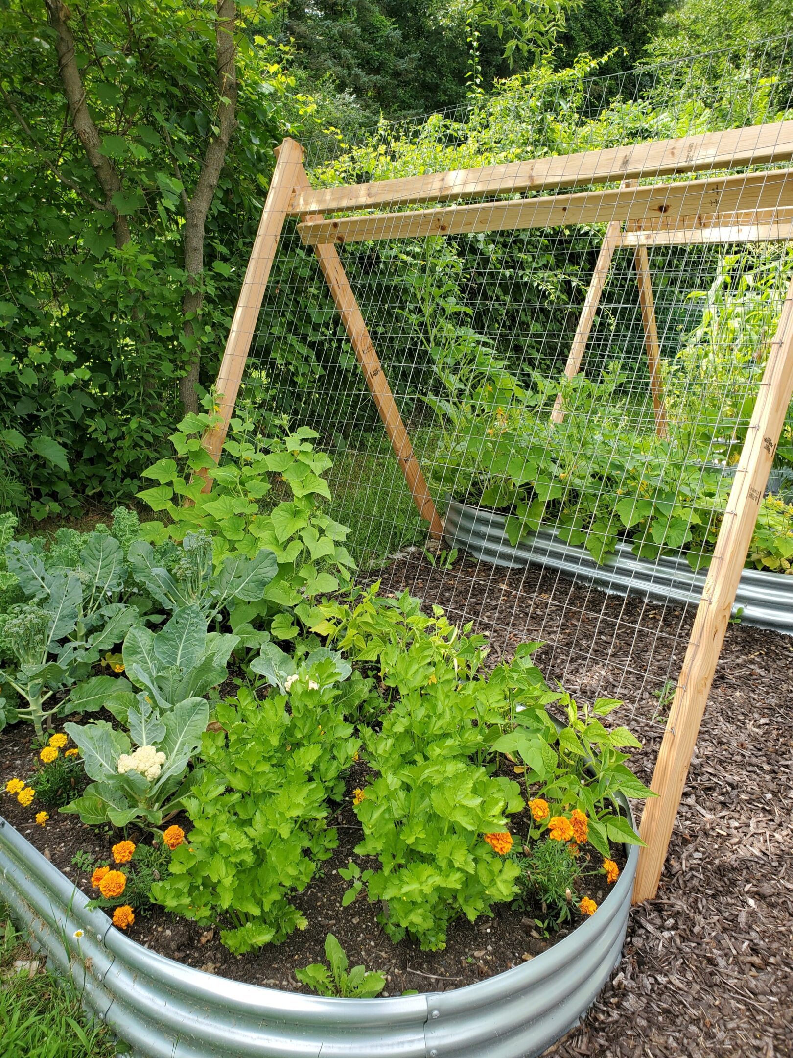 Raised garden bed with vegetables and flowers.