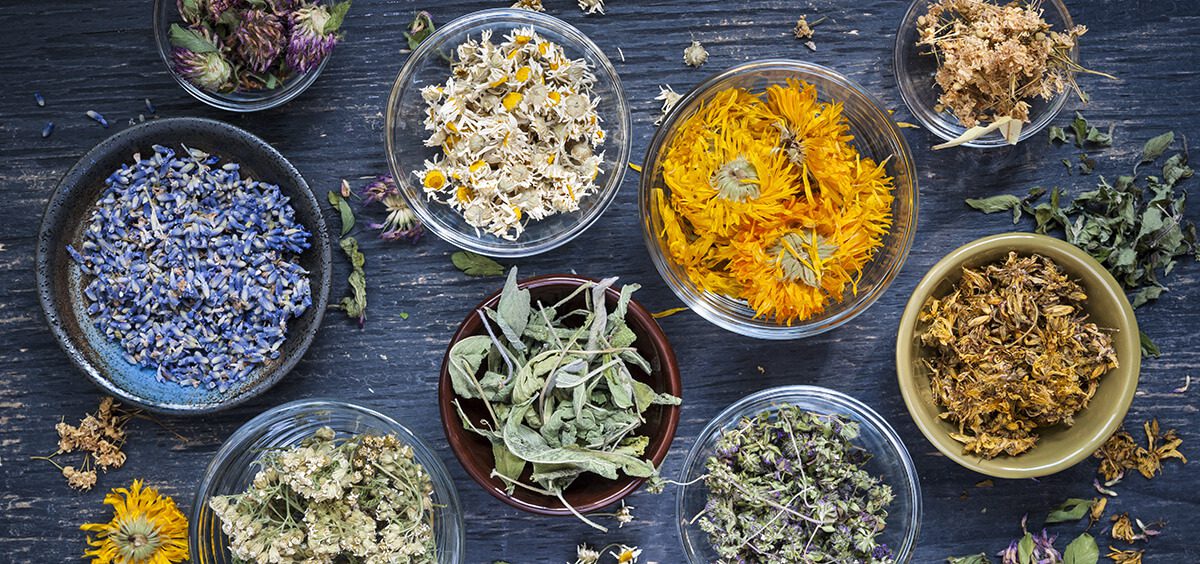 6963e4e4e6c7d_Herbal-Teas