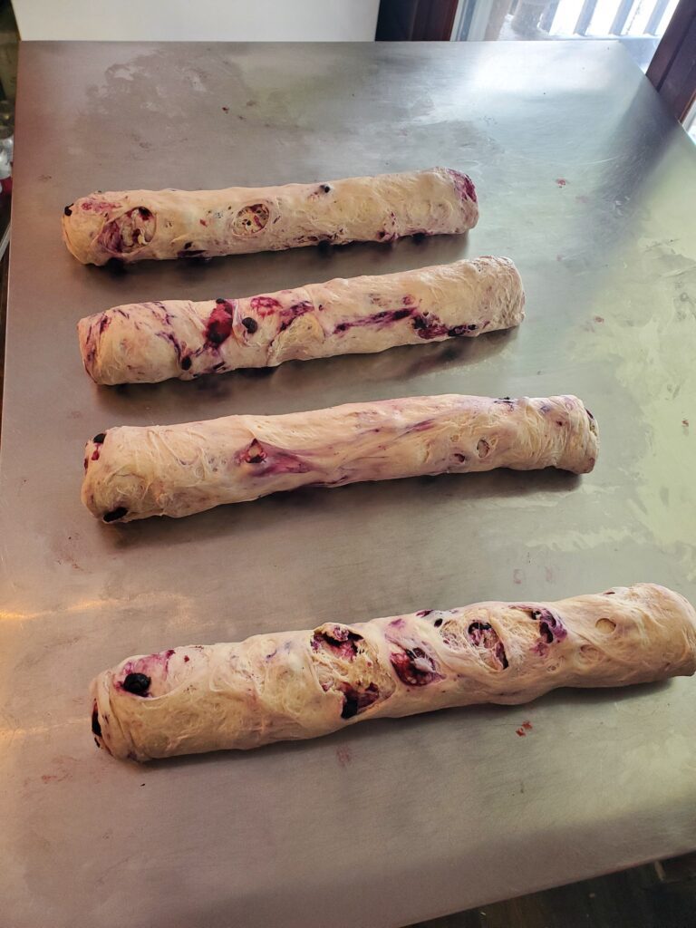 rolls of bagels before shaping