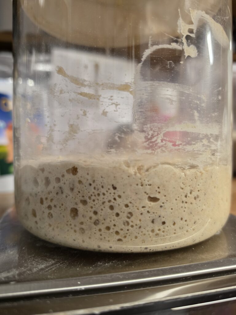 active sourdough starter
