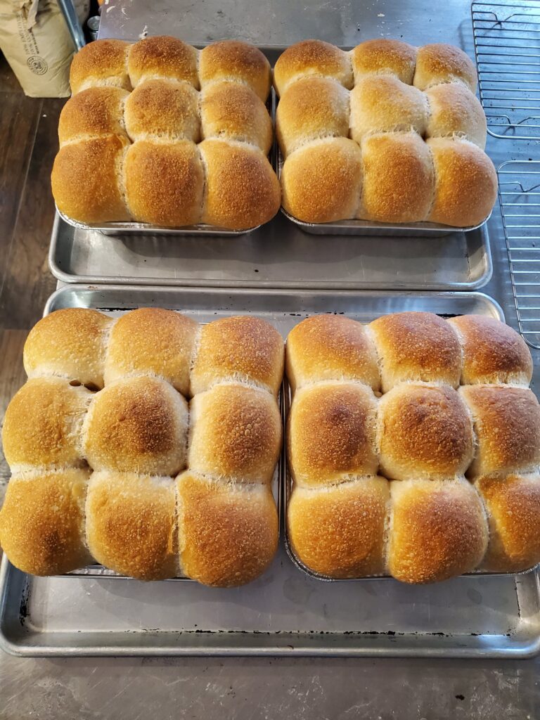 dinner rolls baked