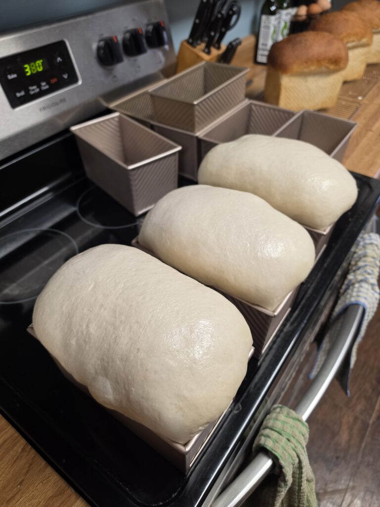 sandwich loaves ready to bake