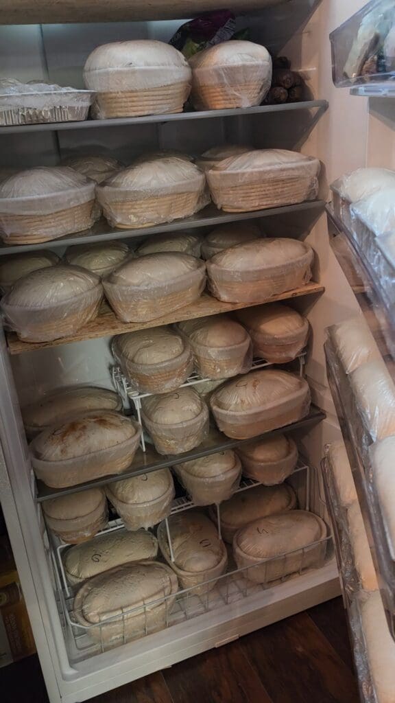 refrigerator full of sourdough