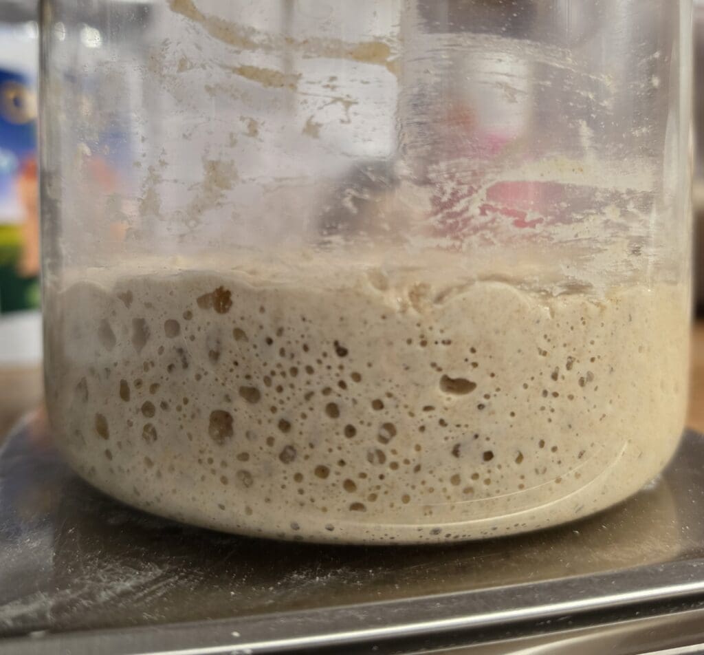 Aerated sourdough starter against fogged glass