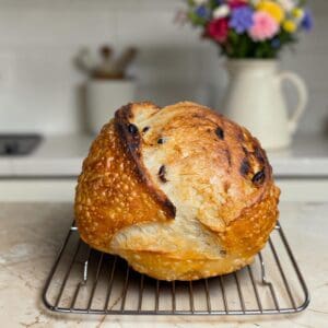 Sourdough Cranberry Pepper Jack Loaf