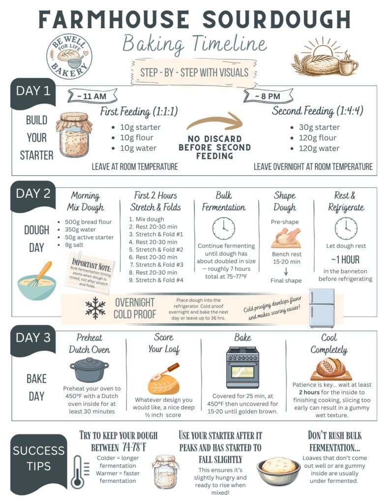 Farmhouse Sourdough Baking Timeline