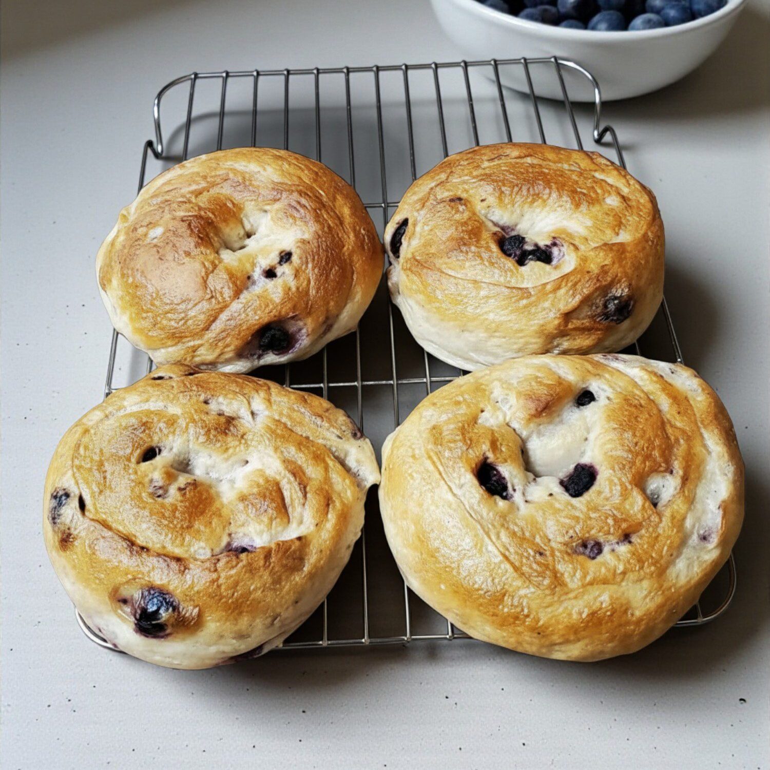 Blueberry bagels cooling on a counter