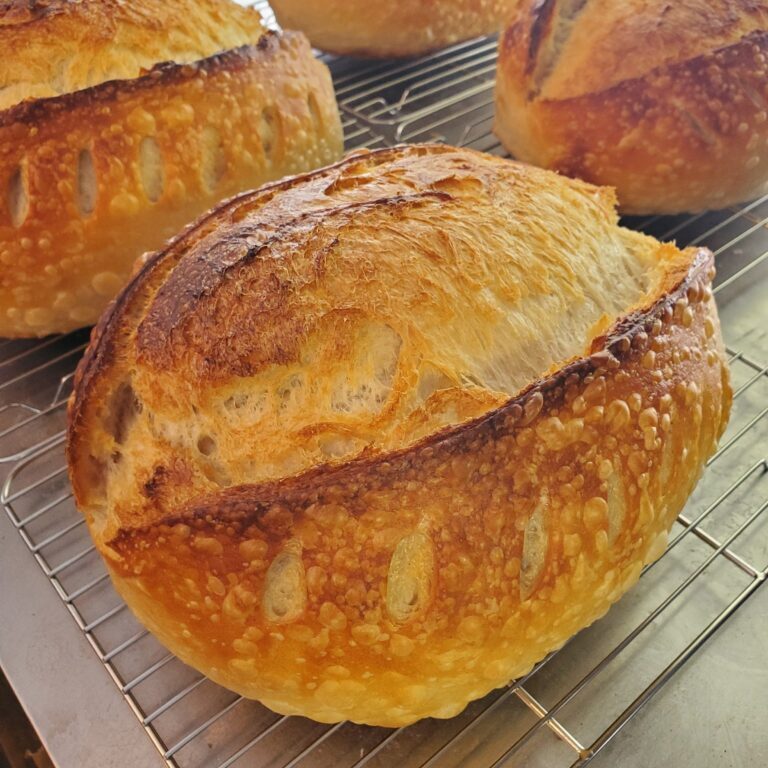 sourdough bread cooling in the kitchen